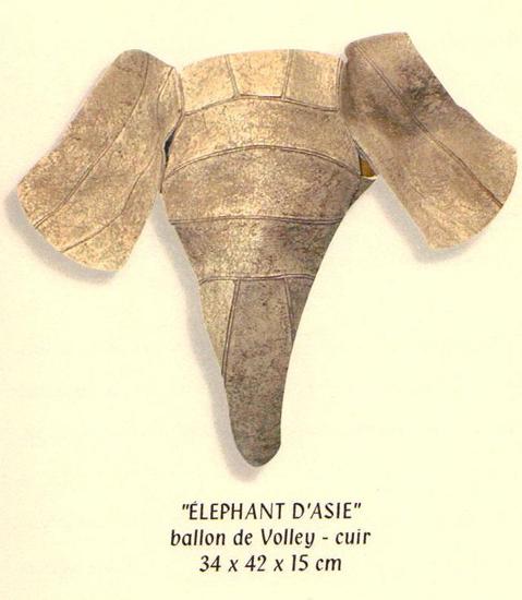 elephant d'asie