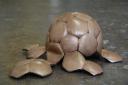 tortue de bronze