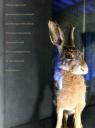 Un lapin a travers le miroir 1